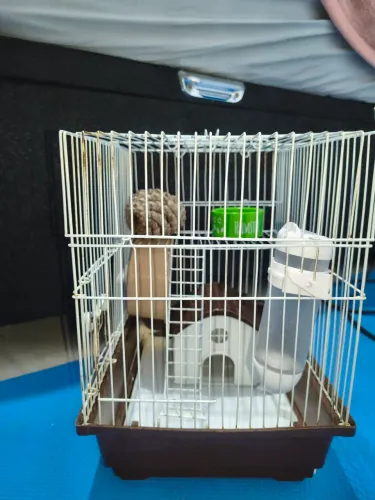 Gaiola para Hamster USADA