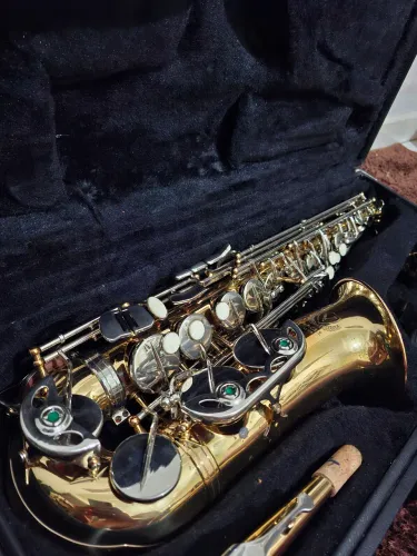 Sax Alto Eagle SA500 LN (Novíssimo)