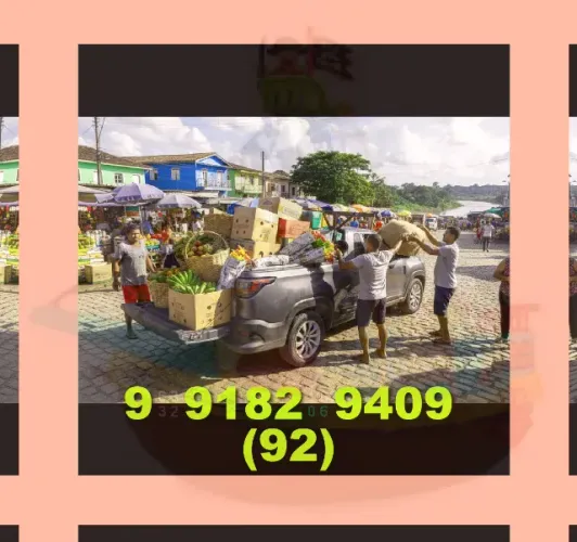 frete na cidade nova, chapada e flores. 12 9 9182|9409