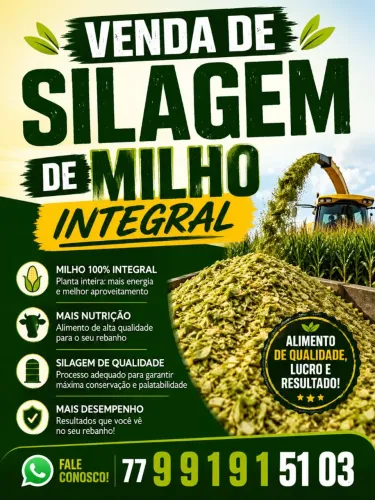 Silagem de milho