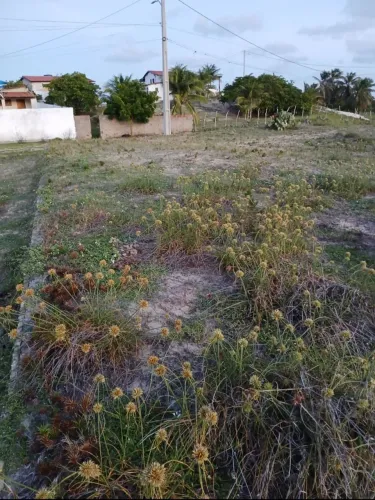 TERRENO À VENDA NA PRAIA DE GRAÇANDU!