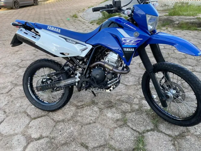 Tudo em Dias, revisada! *53