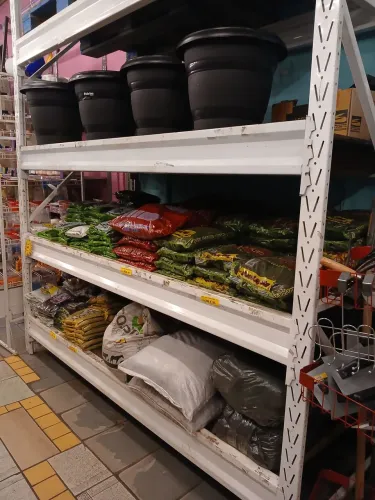 Conjunto de Porta pallets, sendo pé direito e longarinas