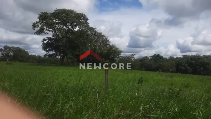 Fazenda em Área Rural - Área Rural de Uberlândia - Uberlândia/MG