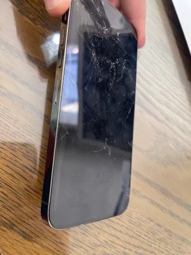 IPhone 13 Pro Max Peças