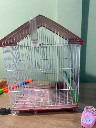 Gaiola para pássaros usada 60 reais