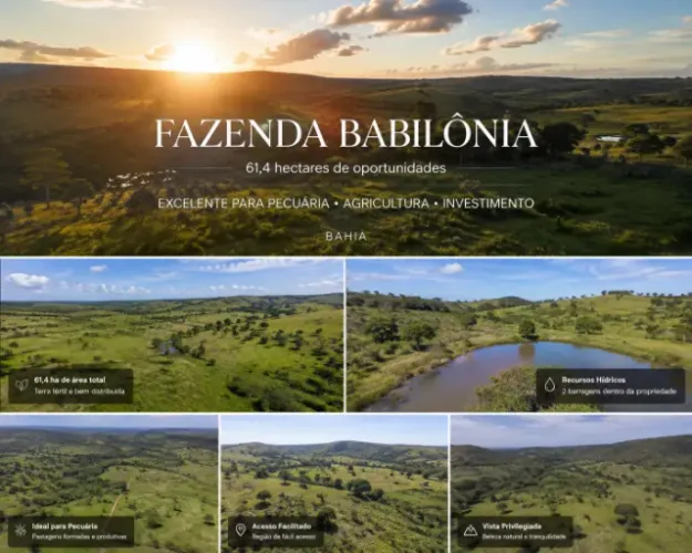 Fazenda Babilonia Nova Canaã - Bahia