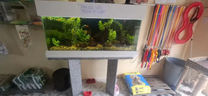 Aquário completo