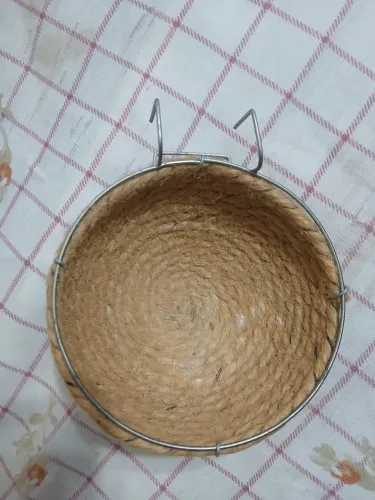 Ninho para passarinho