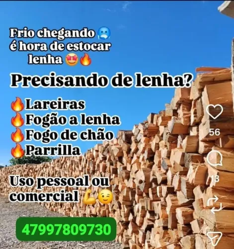 Lenha nativas e eucalipto rosa para fogão lareira churrasqueira