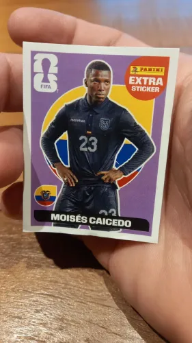 PANINI LEGEND - ROXA - CAICEDO