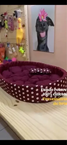Cama pet