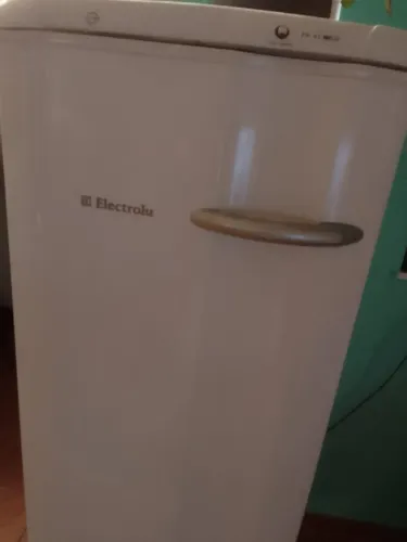 Freezer vertical