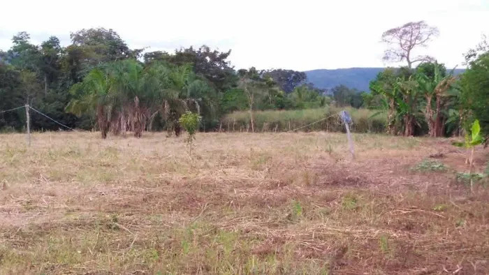 Sitios a venda 