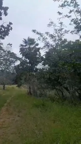 Terreno em Monsenhor Gil com casa feita 