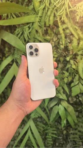 12 pro 256GB