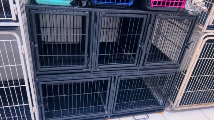 Gaiola pet Shop