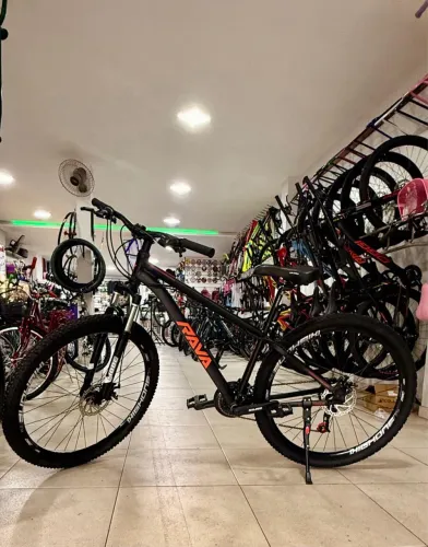 Bicicleta Hava