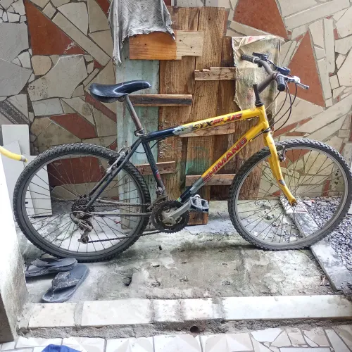 Bicicleta