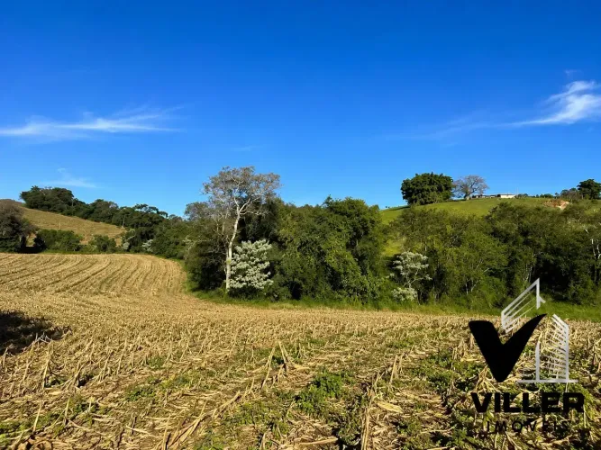 Exclusividade no Campo Sítio de Alto Potencial Produtivo em Socorro SP