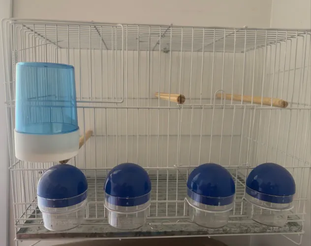 Duas gaiolas 4 comedouros nova sem detalhes 