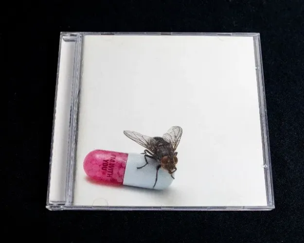 CD Red Hot Chilli Peppers - I'm With You