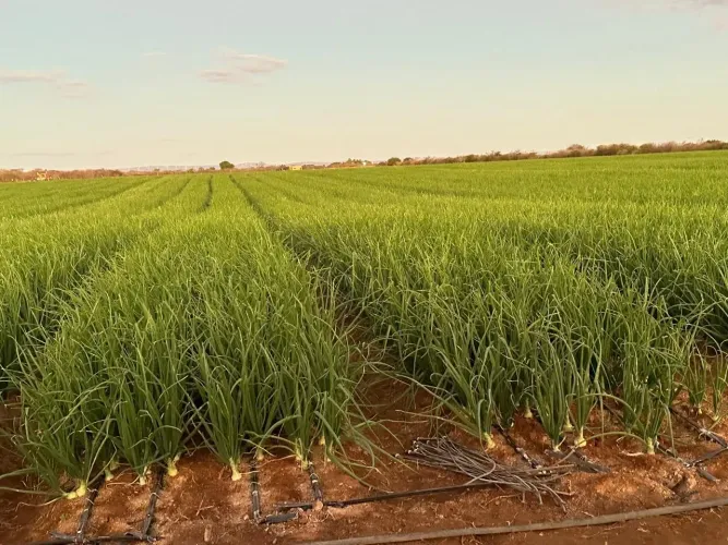 Fazenda em Varzea Nova