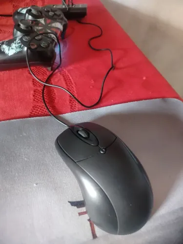 Mouse home office