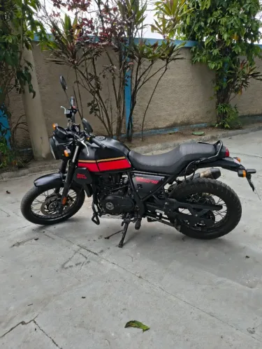 Royal enfield scram 411