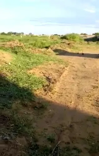Terreno 2.000 m2 Alto do Boa Vista