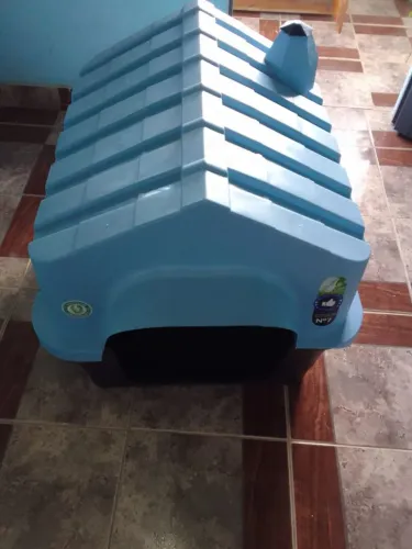 Casinha pra Cachorro