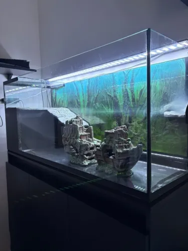 Aquaterrário 200L completo