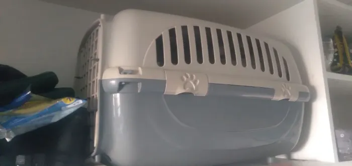 Casinha para levar o cachorro para passear
