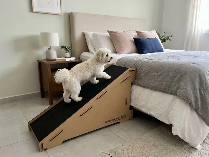 Rampa para pet