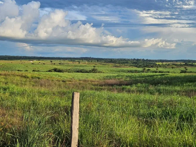 Fazenda titulada de 332 alqueires 