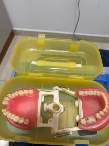 Manequim odontológico