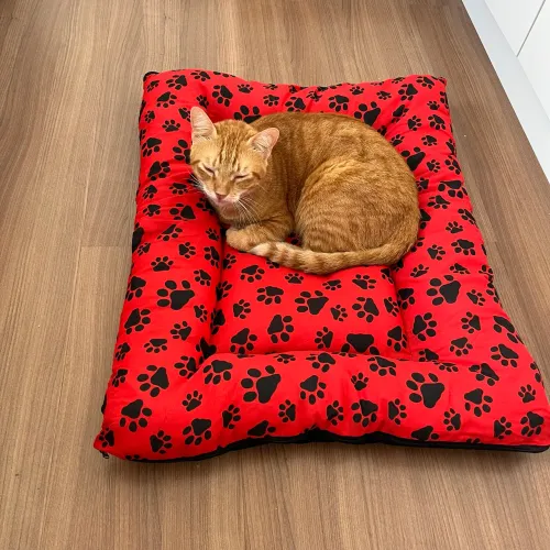Cama para cachorro e gato com zíper