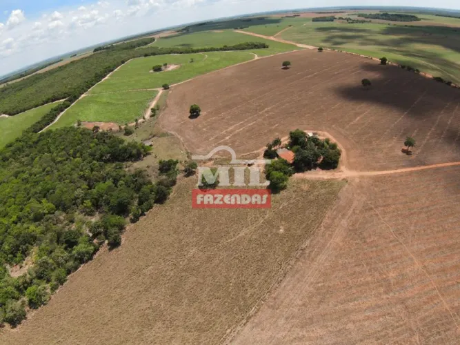 Fazenda 31 Alqueires (150 hectares) Indiara - GO