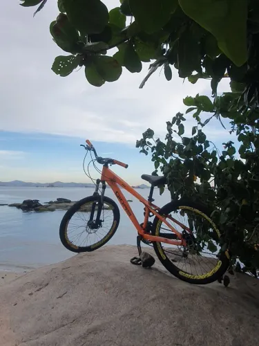 bicicleta gios frx ano 2017