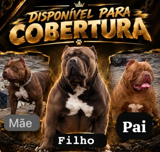 Disponível para cobertura