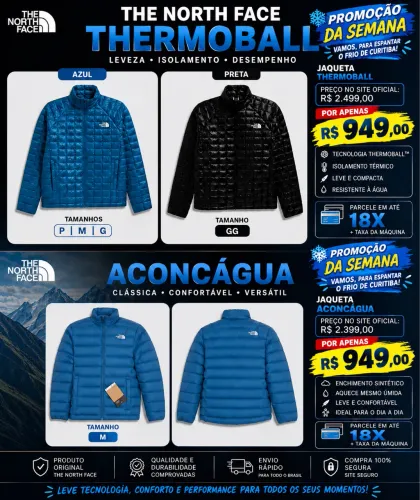 Jaqueta the north face