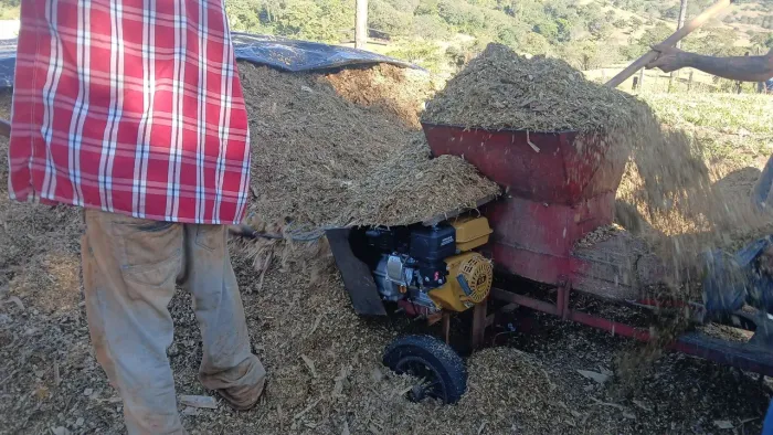 Venda silo ensacado e curtido
