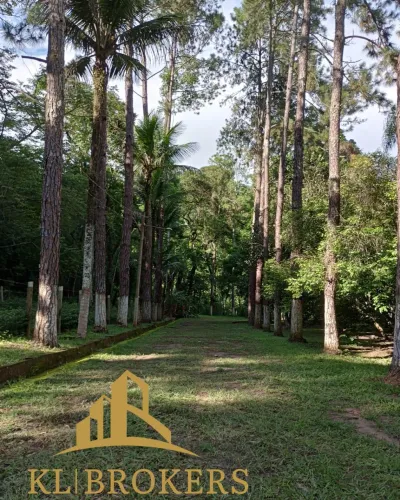 SITIO RURAL em VARGEM ALEGRE - RJ, Vargem Alegre