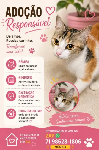 Gatinha filhote 