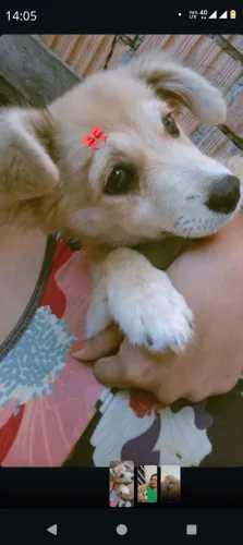 Doação responsável ?