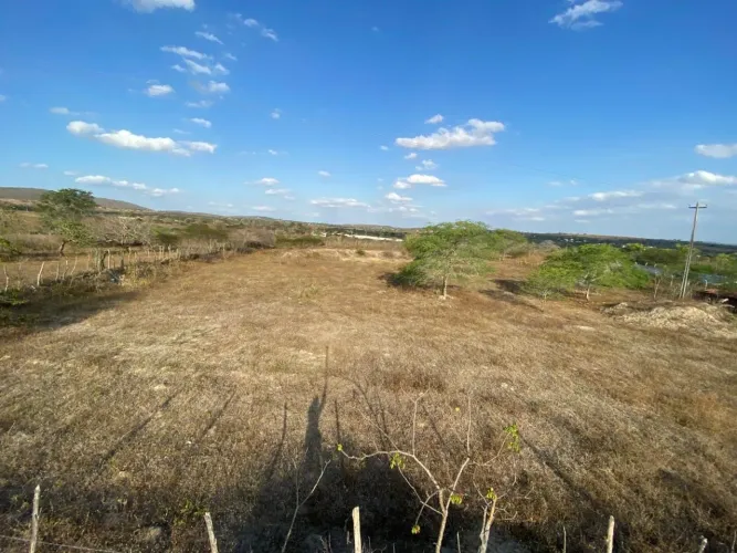 Lotes - 12,5m x 25m - Junco