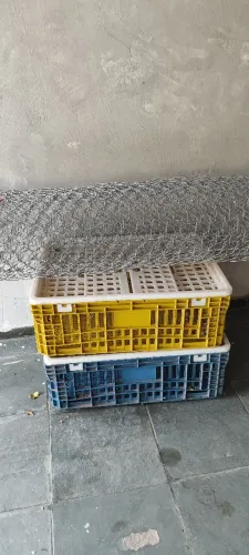 Caixas de transporte de aves