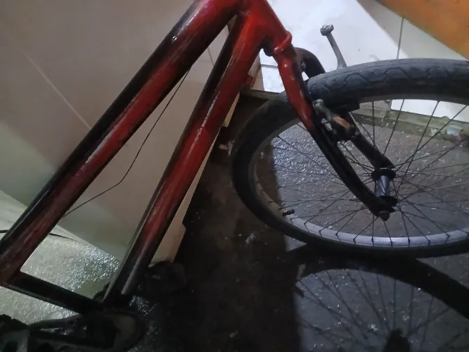 Bicicleta adulto