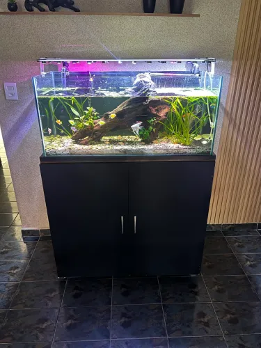 Aquário Plantado 180L Completo + Canister Sunsun HW-3000 + CO? 5kg