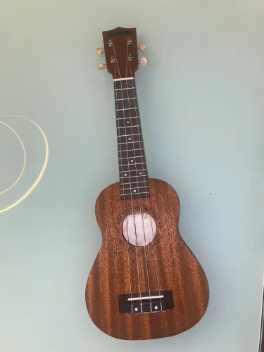 Ukulele Spring